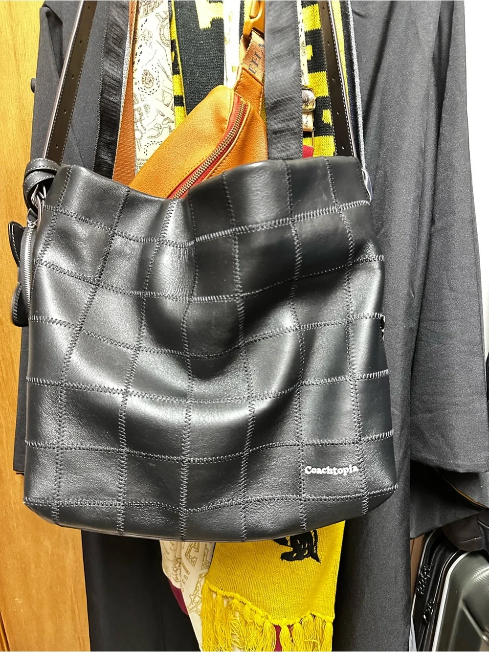 Coachtopia Alter ego hobo bag